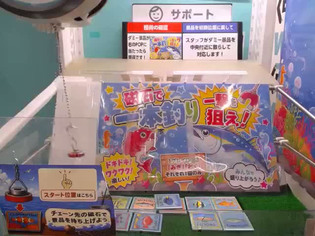 Aビビットカラー】くまさんケース付きカラフルブロック オンライン